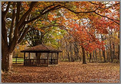 image by Kirms Photography Allaire State Park-3
